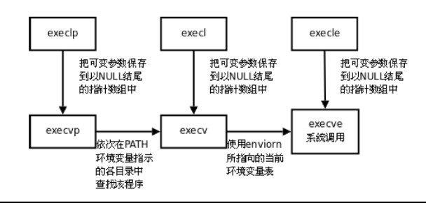 4、进程原语-exec族之间的关系